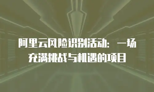 阿里云风险识别活动：一场充满挑战与机遇的项目