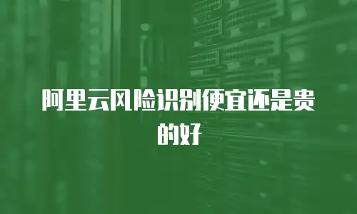 阿里云风险识别便宜还是贵的好