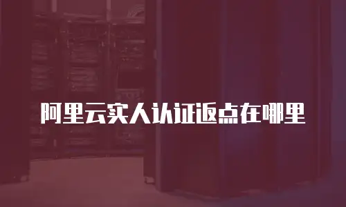 阿里云实人认证返点在哪里