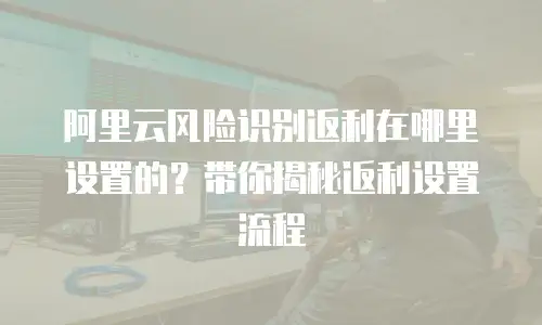阿里云风险识别返利在哪里设置的？带你揭秘返利设置流程