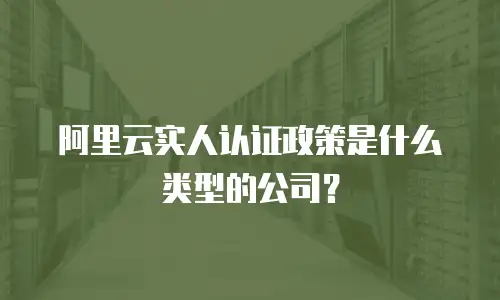 阿里云实人认证政策是什么类型的公司？
