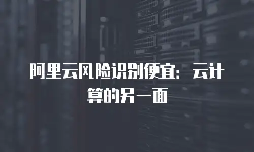 阿里云风险识别便宜：云计算的另一面
