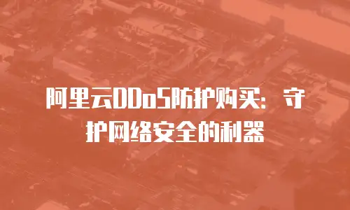 阿里云DDoS防护购买：守护网络安全的利器