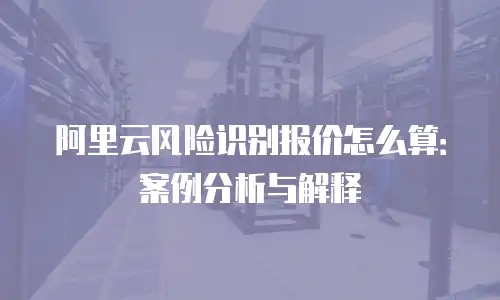 阿里云风险识别报价怎么算：案例分析与解释