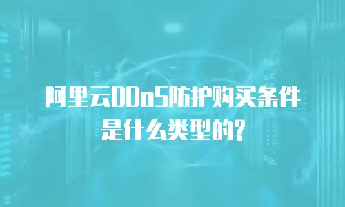 阿里云DDoS防护购买条件是什么类型的?