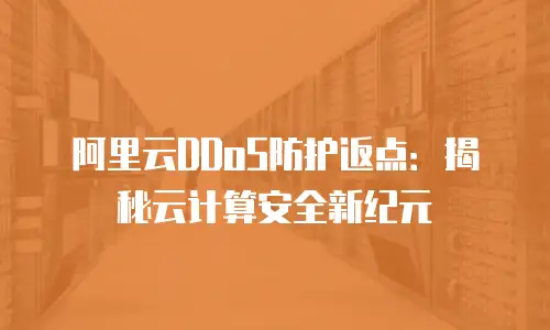 阿里云DDoS防护返点：揭秘云计算安全新纪元