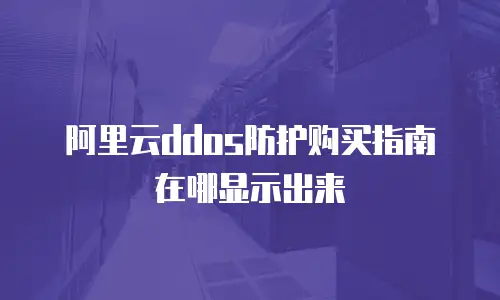 阿里云ddos防护购买指南在哪显示出来