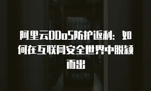阿里云DDoS防护返利：如何在互联网安全世界中脱颖而出