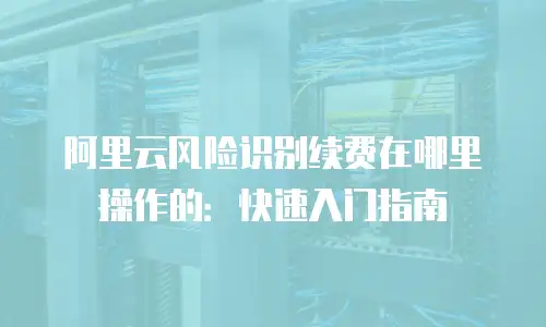 阿里云风险识别续费在哪里操作的：快速入门指南