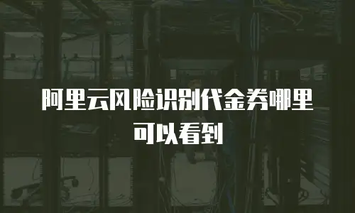 阿里云风险识别代金券哪里可以看到