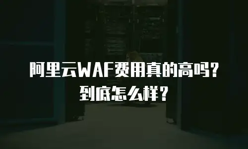 阿里云WAF费用真的高吗？到底怎么样？