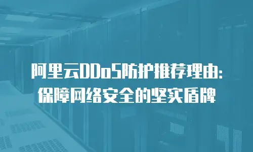 阿里云DDoS防护推荐理由：保障网络安全的坚实盾牌
