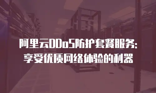 阿里云DDoS防护套餐服务: 享受优质网络体验的利器