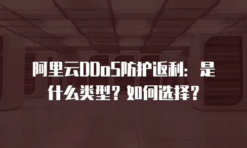阿里云DDoS防护返利：是什么类型？如何选择？