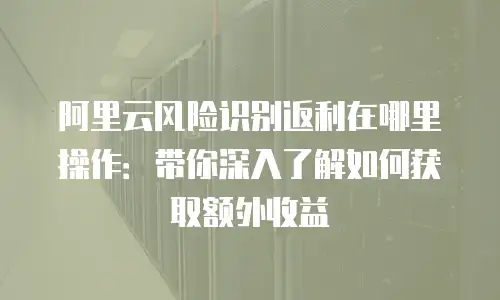 阿里云风险识别返利在哪里操作：带你深入了解如何获取额外收益