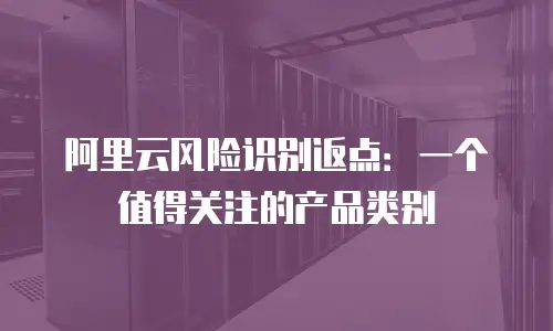 阿里云风险识别返点：一个值得关注的产品类别
