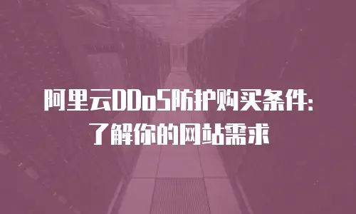 阿里云DDoS防护购买条件：了解你的网站需求