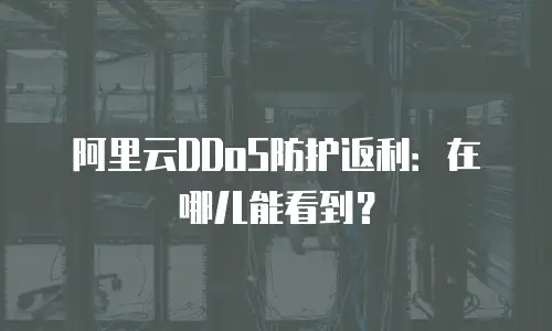 阿里云DDoS防护返利：在哪儿能看到？