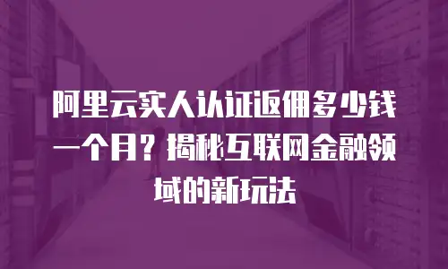 阿里云实人认证返佣多少钱一个月？揭秘互联网金融领域的新玩法