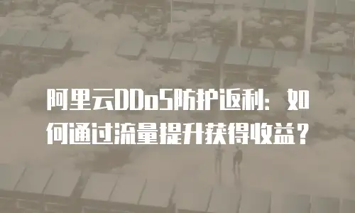 阿里云DDoS防护返利：如何通过流量提升获得收益？