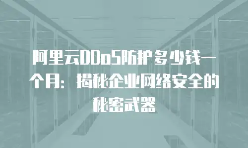 阿里云DDoS防护多少钱一个月：揭秘企业网络安全的秘密武器