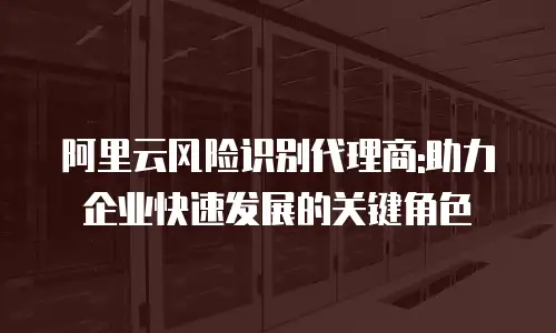 阿里云风险识别代理商:助力企业快速发展的关键角色