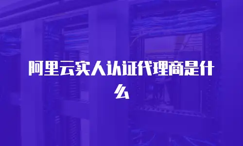 阿里云实人认证代理商是什么