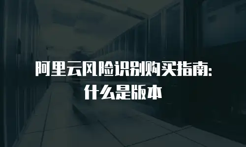 阿里云风险识别购买指南：什么是版本