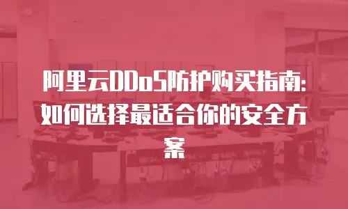 阿里云DDoS防护购买指南：如何选择最适合你的安全方案