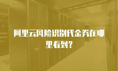 阿里云风险识别代金券在哪里看到？