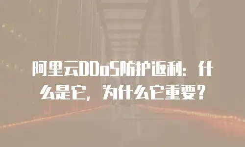 阿里云DDoS防护返利：什么是它，为什么它重要？