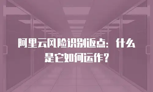 阿里云风险识别返点：什么是它如何运作？