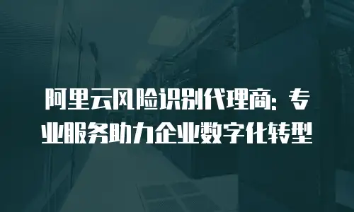 阿里云风险识别代理商: 专业服务助力企业数字化转型