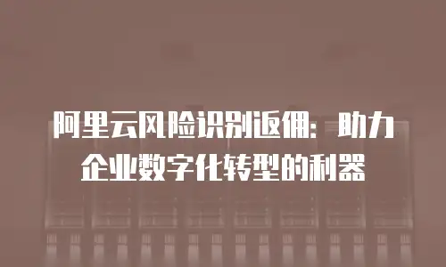 阿里云风险识别返佣：助力企业数字化转型的利器