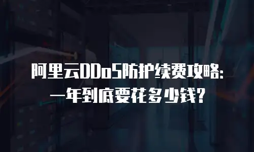 阿里云DDoS防护续费攻略：一年到底要花多少钱？