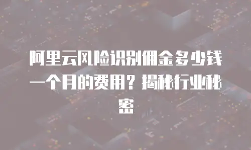 阿里云风险识别佣金多少钱一个月的费用？揭秘行业秘密