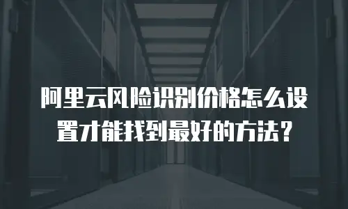 阿里云风险识别价格怎么设置才能找到最好的方法？