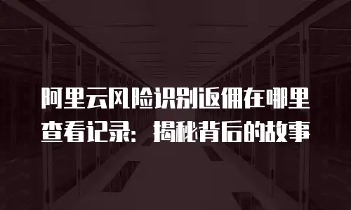 阿里云风险识别返佣在哪里查看记录：揭秘背后的故事