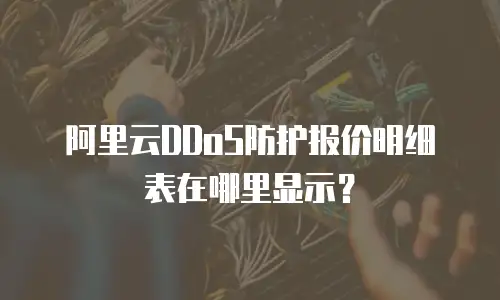 阿里云DDoS防护报价明细表在哪里显示？