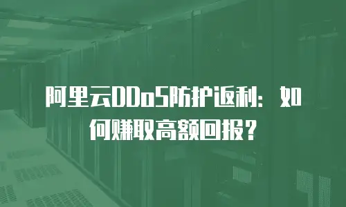 阿里云DDoS防护返利：如何赚取高额回报？
