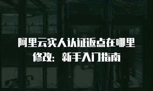 阿里云实人认证返点在哪里修改：新手入门指南