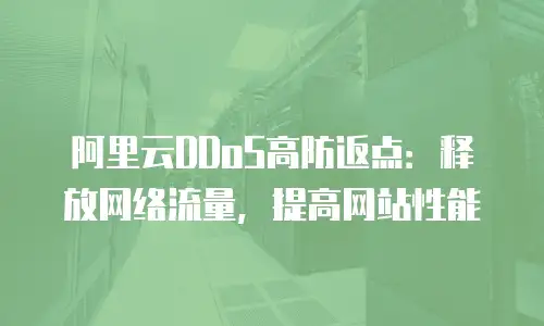阿里云DDoS高防返点：释放网络流量，提高网站性能