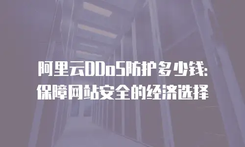 阿里云DDoS防护多少钱：保障网站安全的经济选择