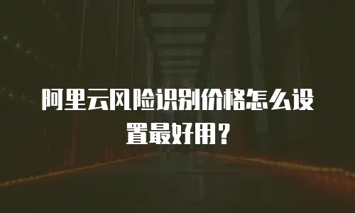 阿里云风险识别价格怎么设置最好用？