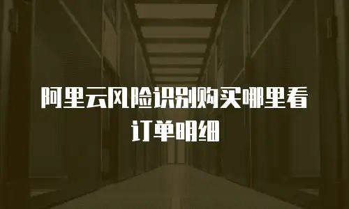 阿里云风险识别购买哪里看订单明细