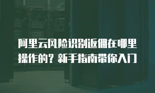 阿里云风险识别返佣在哪里操作的？新手指南带你入门