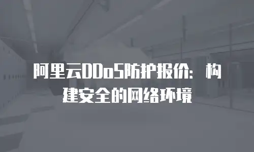 阿里云DDoS防护报价：构建安全的网络环境