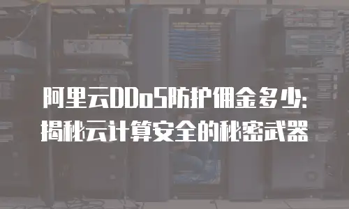 阿里云DDoS防护佣金多少：揭秘云计算安全的秘密武器