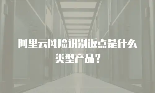 阿里云风险识别返点是什么类型产品？