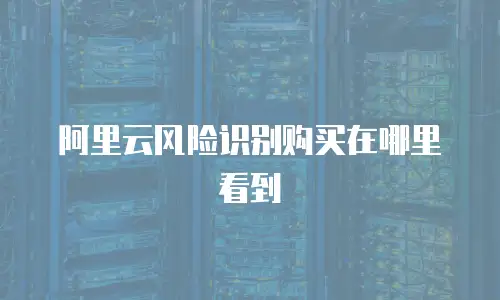 阿里云风险识别购买在哪里看到